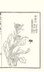photo36_small.jpg