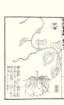 photo37_small.jpg