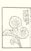 photo39_small.jpg