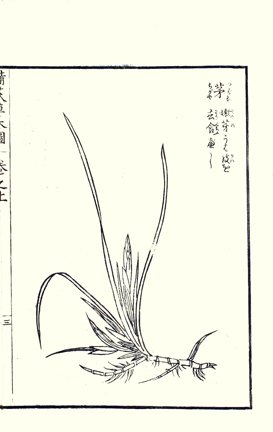 photo4.jpg