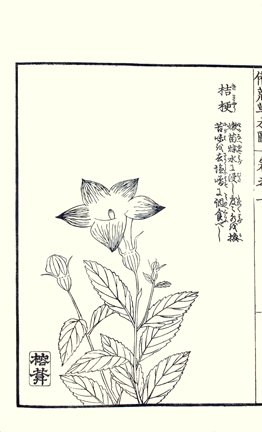 photo41.jpg