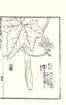 photo42_small.jpg