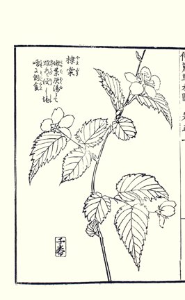 photo43.jpg