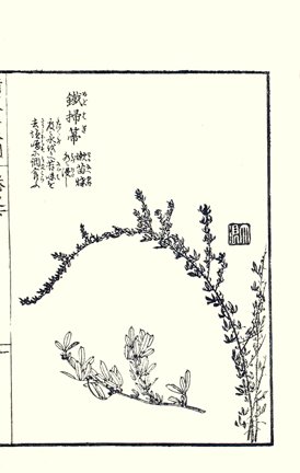 photo44.jpg
