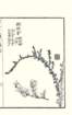 photo44_small.jpg