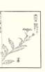photo47_small.jpg