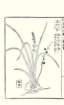 photo50_small.jpg