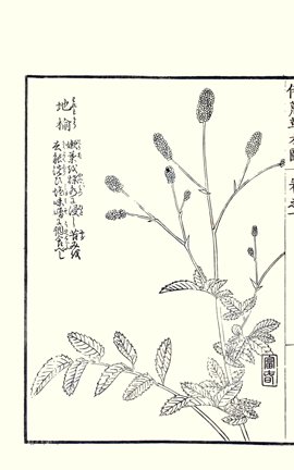 photo56.jpg