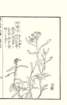 photo59_small.jpg
