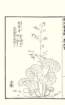 photo60_small.jpg