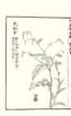 photo68_small.jpg