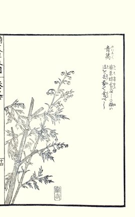 photo69.jpg