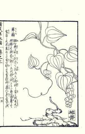 photo7.jpg