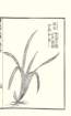 photo71_small.jpg