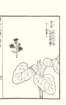 photo76_small.jpg