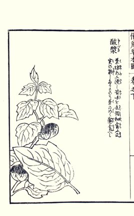 photo82.jpg