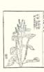 photo84_small.jpg