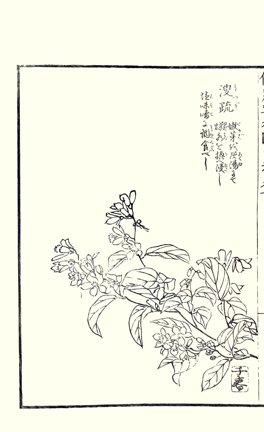 photo88.jpg