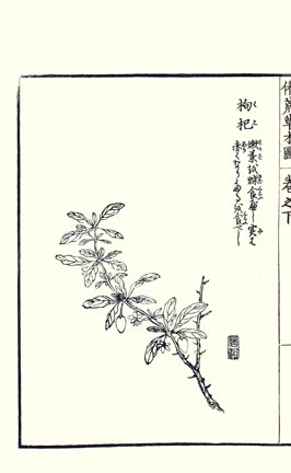 photo90.jpg