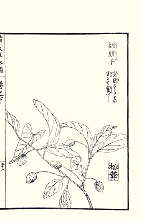 photo95.jpg
