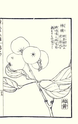 photo97.jpg