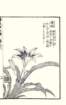 photo9_small.jpg