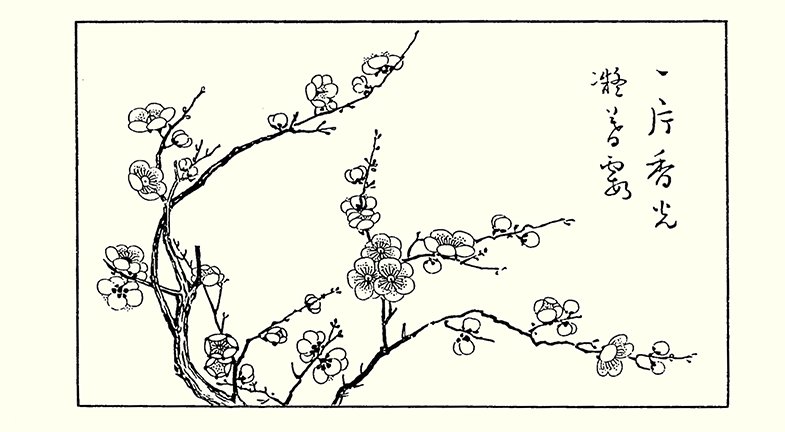 photo23.jpg