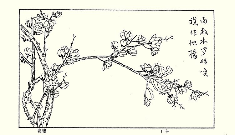 photo27.jpg