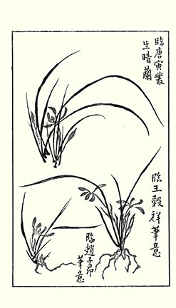 photo38.jpg