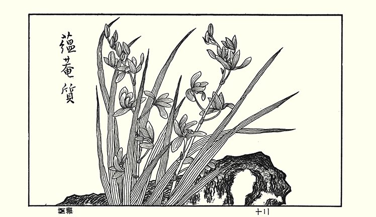 photo43.jpg