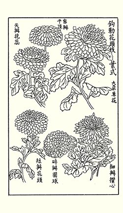 photo59.jpg