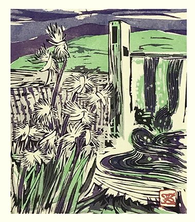 photo42.jpg