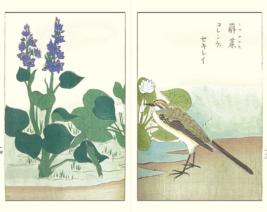 photo13.jpg