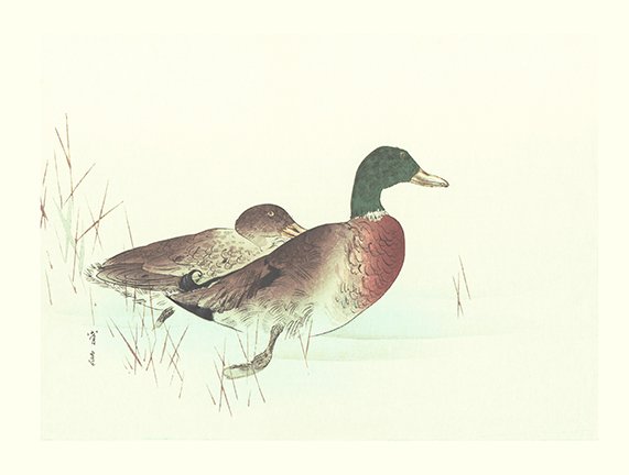 photo12.jpg