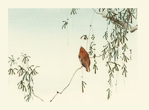photo14.jpg