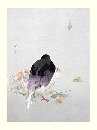 photo6.jpg