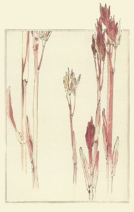 photo.jpg