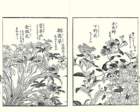 photo13_small.jpg