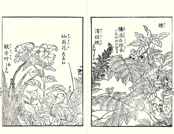 photo18.jpg