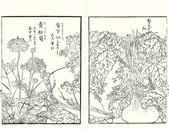 photo22.jpg
