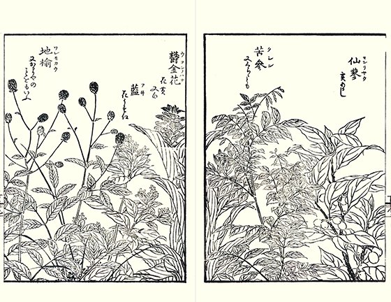 photo24.jpg