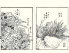 photo25_small.jpg