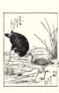 photo28_small.jpg