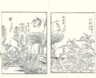 photo2_small.jpg