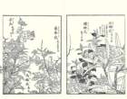 photo3_small.jpg