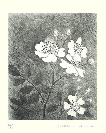photo10.jpg
