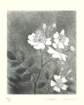 photo10_small.jpg