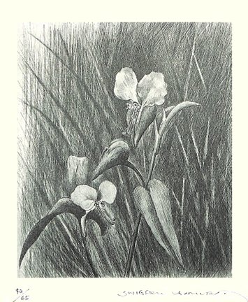 photo5.jpg