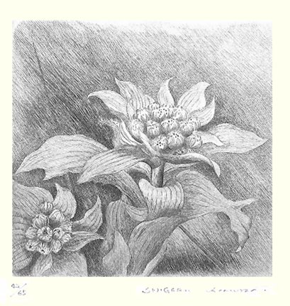 photo9.jpg