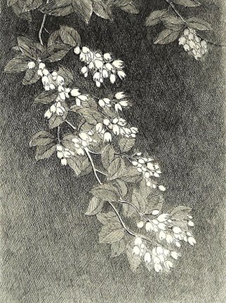 photo3.jpg